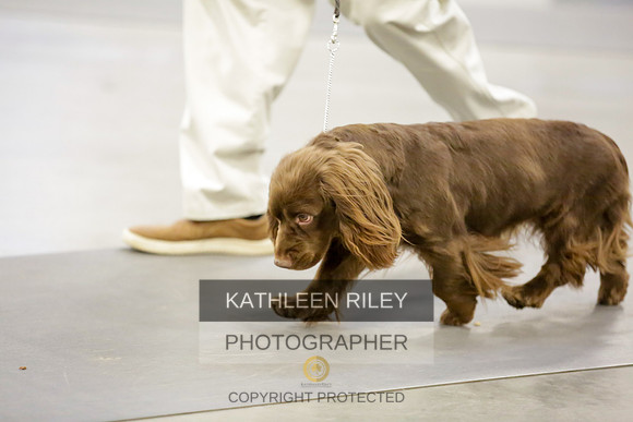 2022-KathleenRileyPhotography-8549