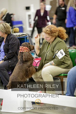 2022-KathleenRileyPhotography-8573