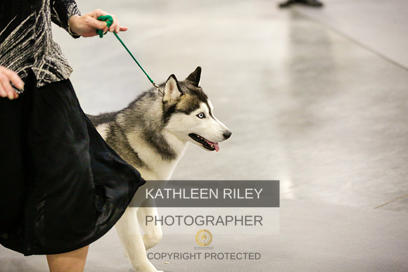 2022-KathleenRileyPhotography-8603