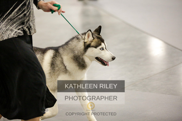 2022-KathleenRileyPhotography-8604