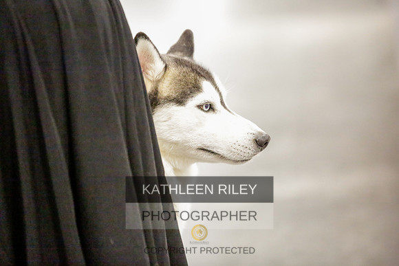 2022-KathleenRileyPhotography-8605