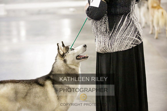 2022-KathleenRileyPhotography-8612