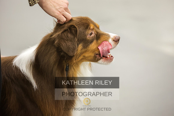 2022-KathleenRileyPhotography-8341