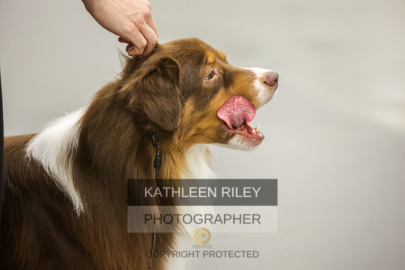 2022-KathleenRileyPhotography-8342