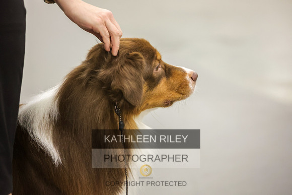 2022-KathleenRileyPhotography-8343