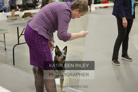 2022-KathleenRileyPhotography-8364-2