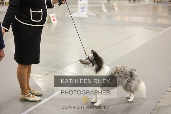 2022-KathleenRileyPhotography-8366-2