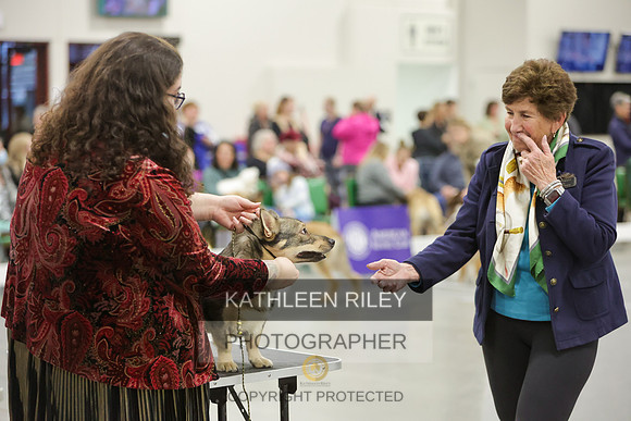 2022-KathleenRileyPhotography-8368