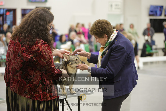 2022-KathleenRileyPhotography-8370