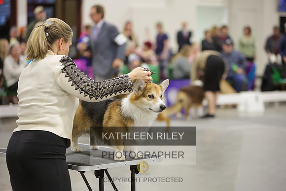 2022-KathleenRileyPhotography-8372-2