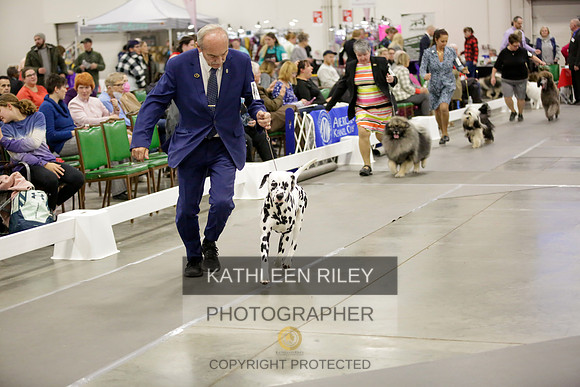 2022-KathleenRileyPhotography-8613