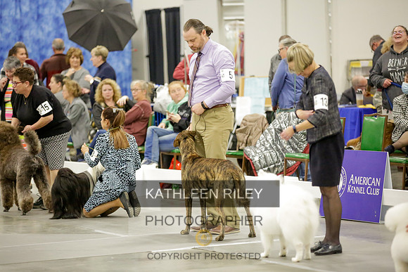 2022-KathleenRileyPhotography-8615