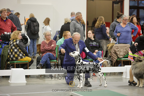 2022-KathleenRileyPhotography-8379