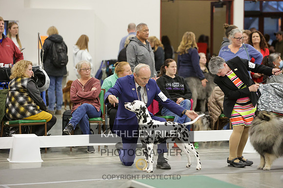 2022-KathleenRileyPhotography-8381