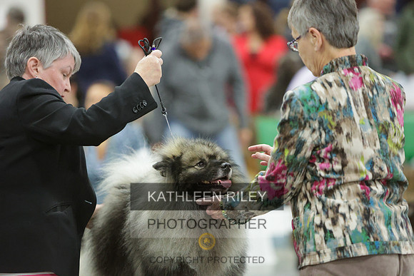 2022-KathleenRileyPhotography-8382