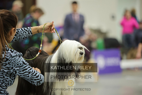 2022-KathleenRileyPhotography-8383