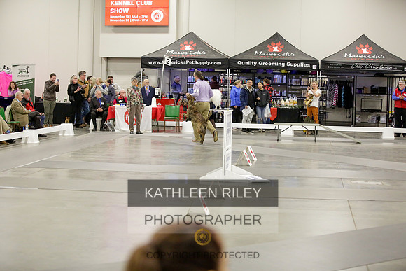 2022-KathleenRileyPhotography-8622