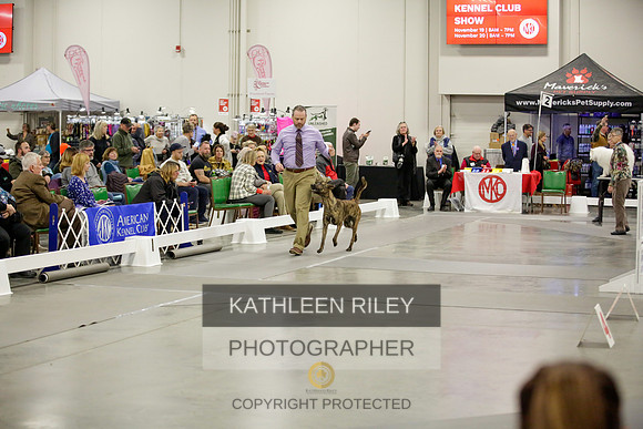 2022-KathleenRileyPhotography-8628