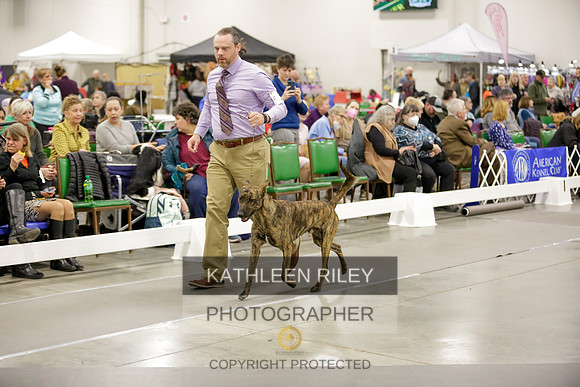 2022-KathleenRileyPhotography-8640