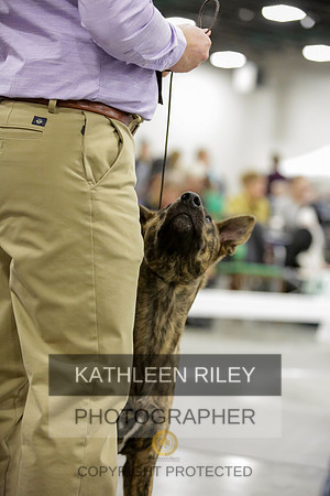2022-KathleenRileyPhotography-8643