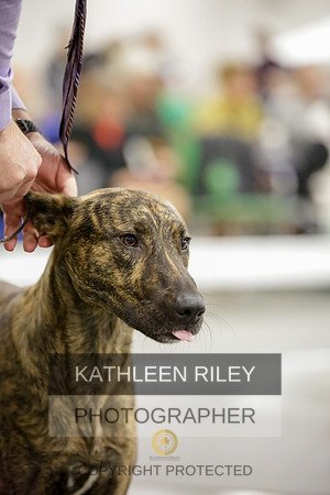 2022-KathleenRileyPhotography-8644