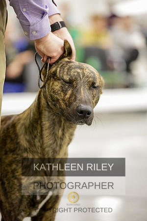 2022-KathleenRileyPhotography-8645