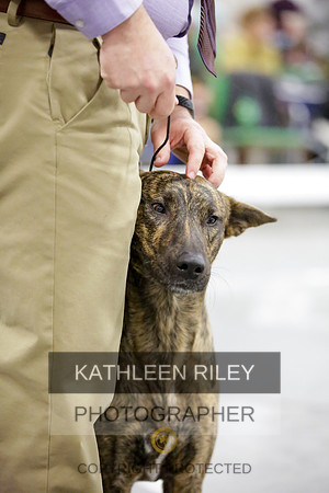 2022-KathleenRileyPhotography-8647