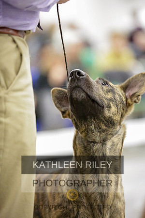 2022-KathleenRileyPhotography-8649