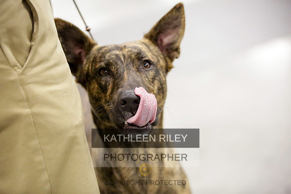 2022-KathleenRileyPhotography-8653