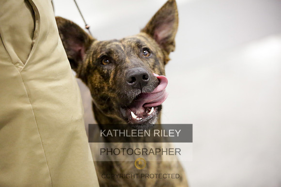 2022-KathleenRileyPhotography-8654