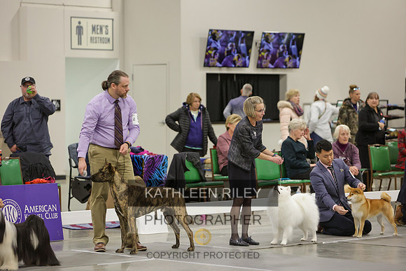 2022-KathleenRileyPhotography-8403