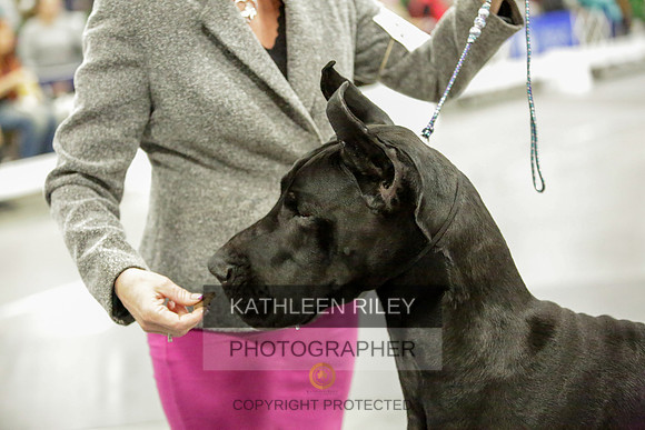 2022-KathleenRileyPhotography-8655