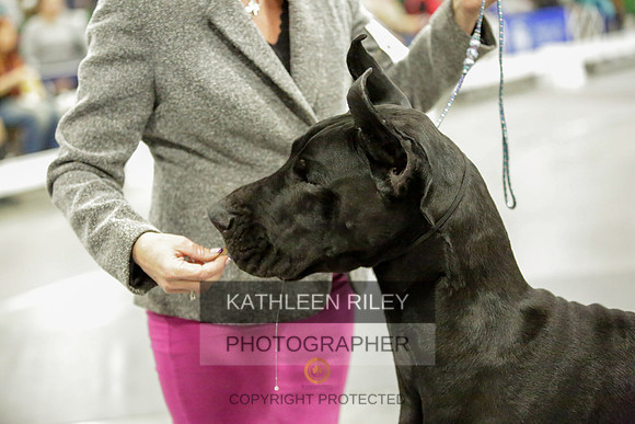 2022-KathleenRileyPhotography-8656