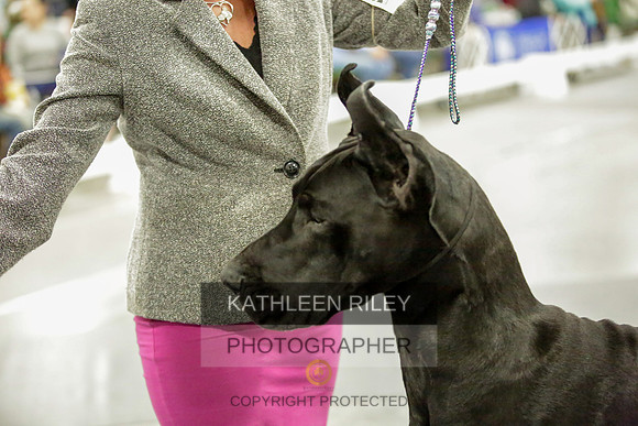 2022-KathleenRileyPhotography-8657
