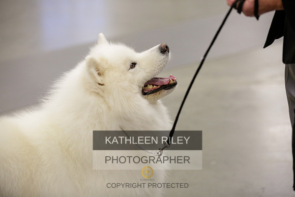 2022-KathleenRileyPhotography-8661