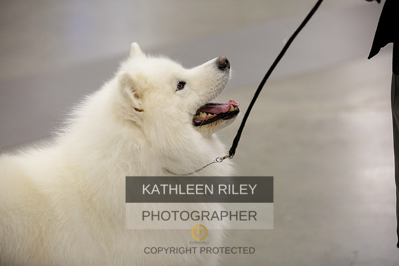 2022-KathleenRileyPhotography-8662