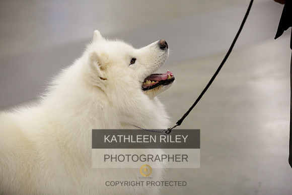 2022-KathleenRileyPhotography-8663