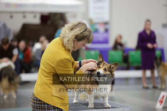 2022-KathleenRileyPhotography-8405