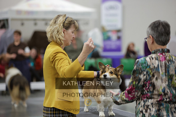 2022-KathleenRileyPhotography-8406-2
