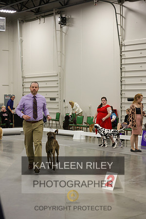 2022-KathleenRileyPhotography-8418