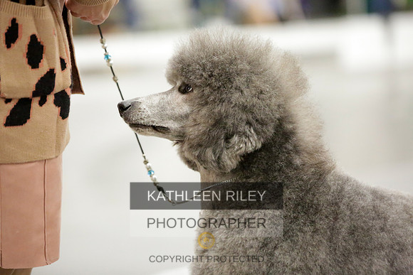 2022-KathleenRileyPhotography-8683