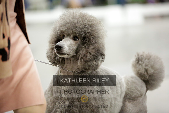 2022-KathleenRileyPhotography-8684
