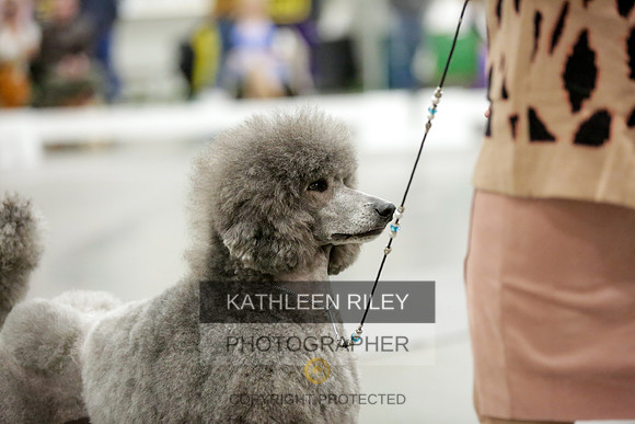 2022-KathleenRileyPhotography-8685