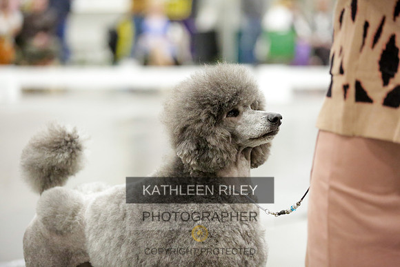 2022-KathleenRileyPhotography-8686