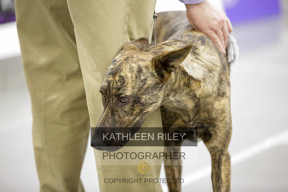 2022-KathleenRileyPhotography-8687