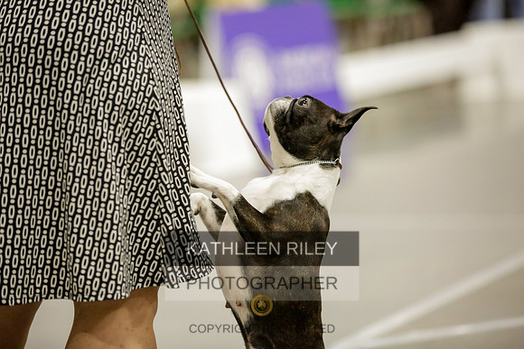 2022-KathleenRileyPhotography-8689
