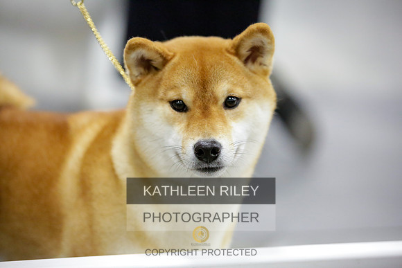 2022-KathleenRileyPhotography-8692