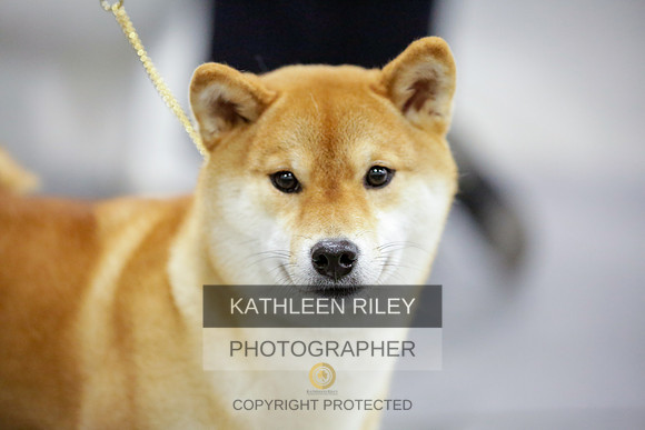 2022-KathleenRileyPhotography-8693