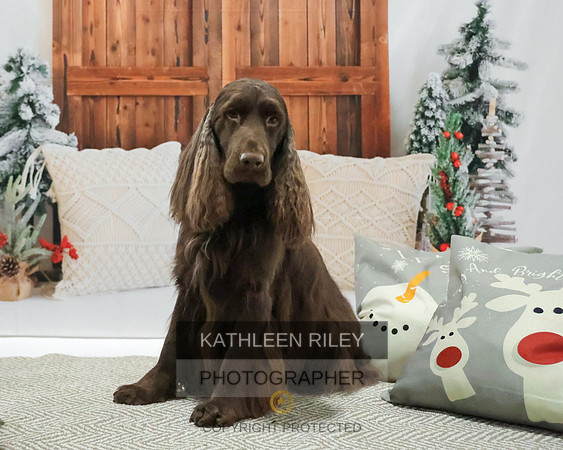 2022-KathleenRileyPhotography-8126
