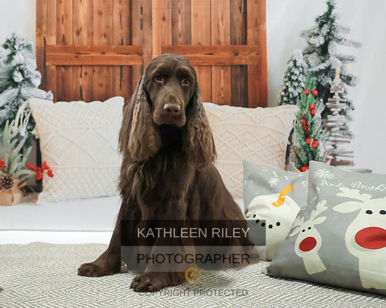 2022-KathleenRileyPhotography-8127